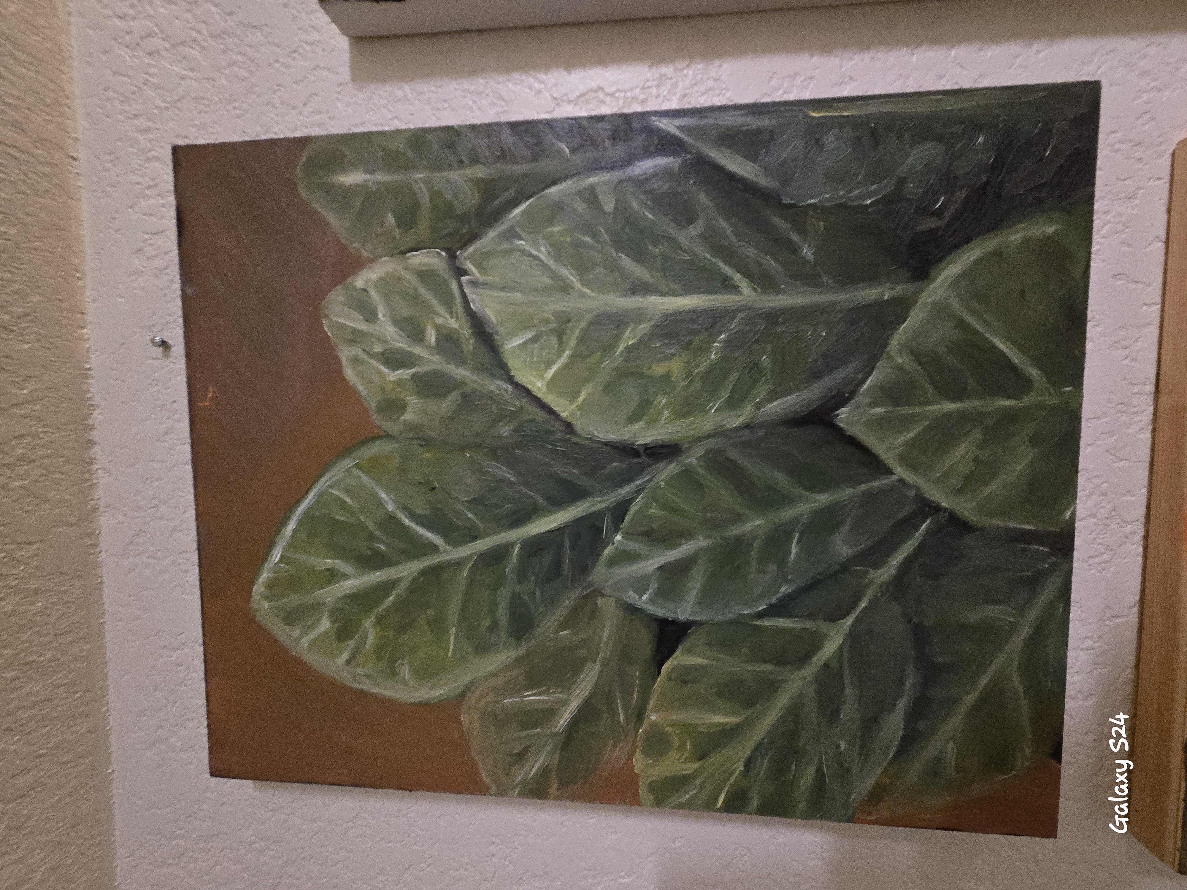 Traditional 6